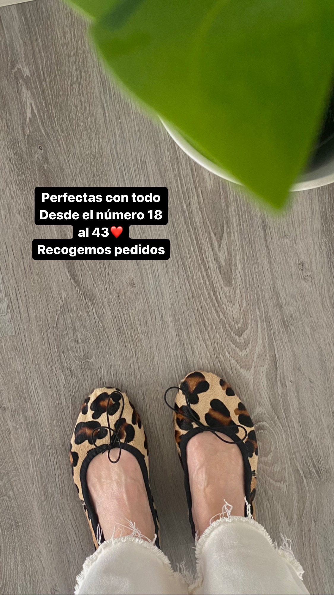 BAILARINAS ANIMAL PRINT (leopardo) - Imagen 4